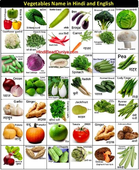 javali kai in english|List of Vegetable names in English, Hindi and other languages